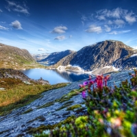 Beautiful Mountain Landscape