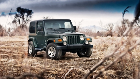 jeep wrangler - jeep, nature, tree, wrangler