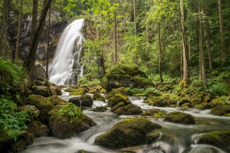 Waterfall - green, tree, forest, waterfall