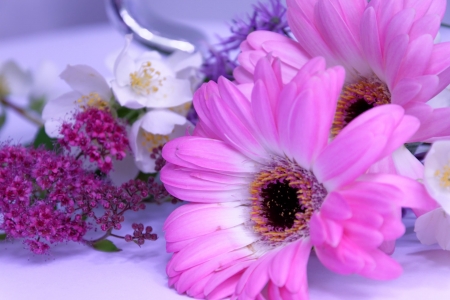 Flowers - flowers, photo, nature, pink