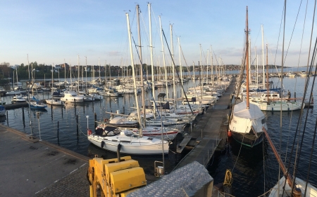 Sailboats in Marina - harbor, marina, water, sailboats