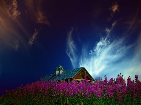 House Under a Cloudy Sky - nature, sky, cloudy, flowers, house