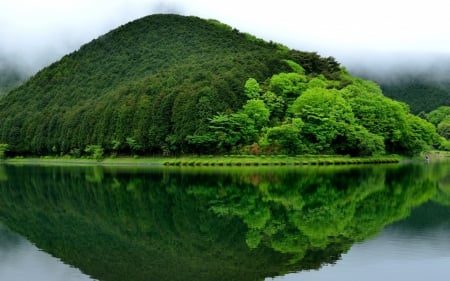 Reflecting Green Lake With Mountain - lake, trees, landscape, mountain, nature, forest, reflection, fog, green