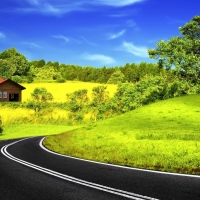 Yellow Field and a Black Road