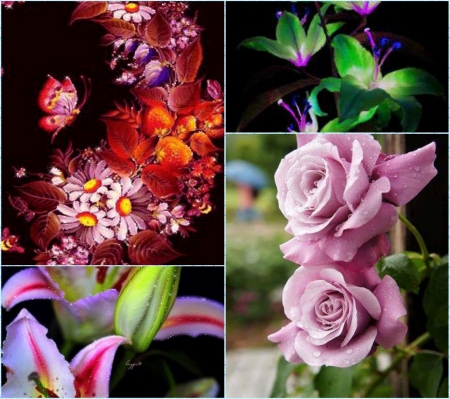 Flowers - flowers, collage, abstract, other