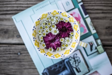 Flowers in Cup - flowers, photo, nature, cup