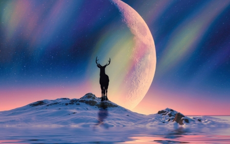 Deer - moon, blue, silhouette, pink, fantasy, white, deer, luminos, luna