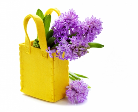 Hyacinths - yellow, hyacinth, spring, card, flower, bag, pink