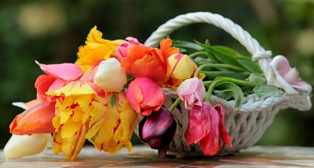 Flowers - flowers, photo, basket, nature