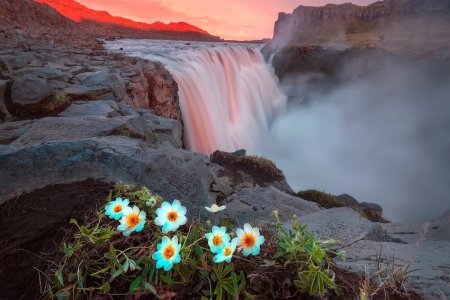 Waterfall at Sunrise - nature, flowers, sunrise, waterfall