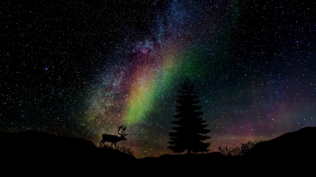 ♥ - fir, anja osenberg, silhouette, creative, stars, tree, black, fantasy, aurora, deer