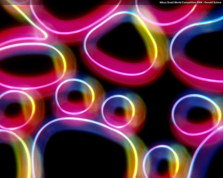 shick1 1280x1024 - colors, bubbels, wild, neon