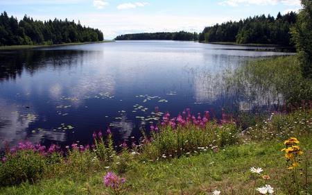 	Onkisalmi - flowers, onkisalmi