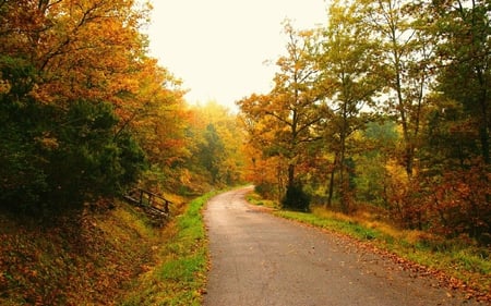 	Autunno a Monteverdi - autumn, way