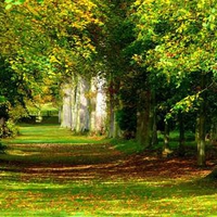 	Politicians Walk Lennoxlove House East Lothian