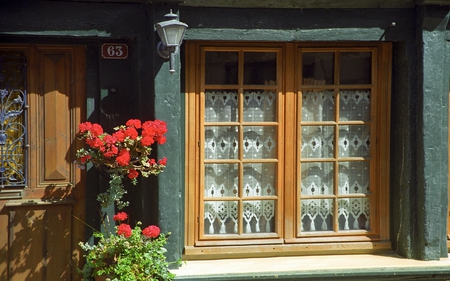 bret norm - bret norm, flowers, window