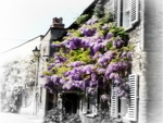 Wisteria Cottage