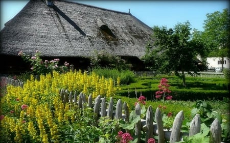 Cottage garden - cottage, garden