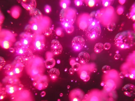 1035746 jpg - bubbles, fun, pop, hotpink