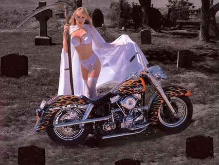 The Ripper of Harley Davidson - chopper, ripper, harley davidson