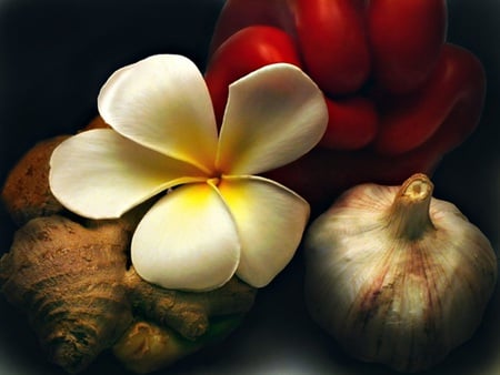 white flower - white, garlic, flower, red