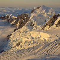 Balfour Glacier Westland National Park South Island New Zealand