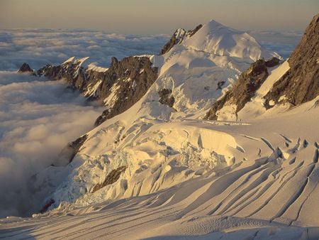 Balfour Glacier Westland National Park South Island New Zealand - forest, landscape