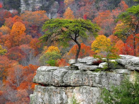 Buzzards Roost  Millikans Overlook Fall Creek State Resort Park Tennessee - landscape, fields