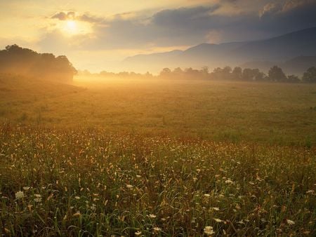 Cades Cove Sunrise Great Smoky Mountains National Park Tennessee - nature, sky