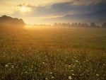 Cades Cove Sunrise Great Smoky Mountains National Park Tennessee