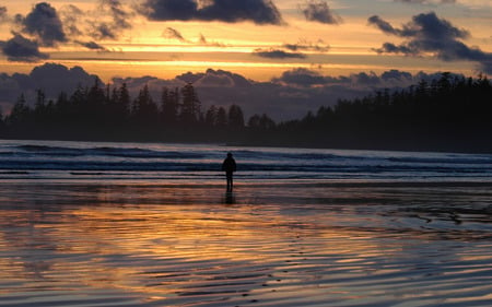 Sunset On The Coast - sunset, nature, coast, beach, sunrise, ocean