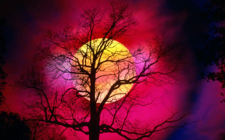 Pink Sunset - moon, promise, phenomenal, beautiful, colourful, sunrise, pink, tree, big, sunset, nature, red, sun, sky