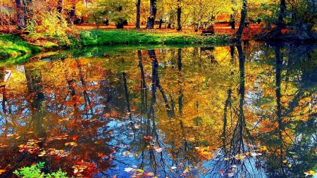 Nature Water Reflection - nature, autumn, trees, reflection, water, leaves, flowers