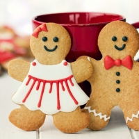 Gingerbread Cookies