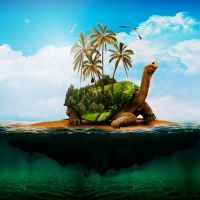 The Tortoise Island