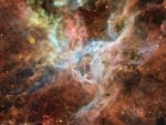 In the Heart of the Tarantula Nebula