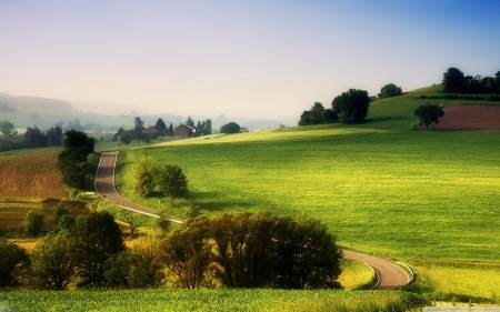 Lush  field - nature, lush, rural, green, field, quality, grass