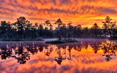 DAWN - nature, landscape, reflection, dawn, clouds, fog, splendor, sunset