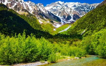 mountain valley - nature, fun, valley, cool, forest, mountain