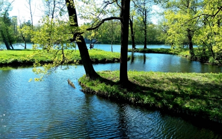 river in a forest - fun, river, nature, forest, cool