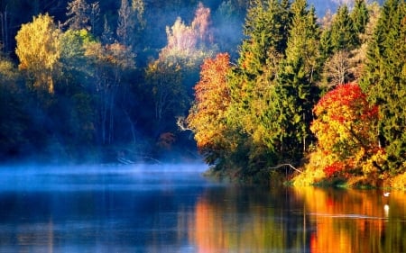 Misty River In Autumn - river, trees, nature, autumn, mist, lake, forest