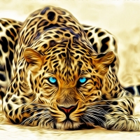 Leopard with Blue Eyes