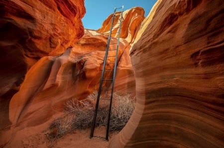 desert ladder - fun, nature, desert, ladder, cool, mountain