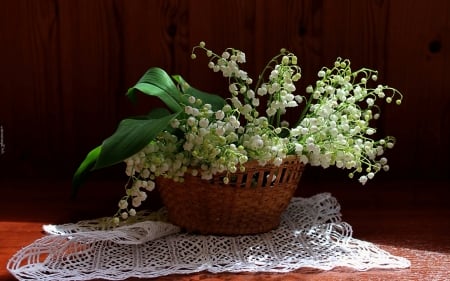 Lilies of Valley - photography, lilies of valley, basket, still life