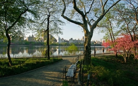 Central Park in New York - trees, America, city, Central Park, New York