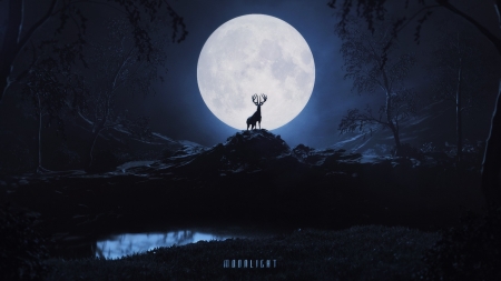 Moonlight - cerb, moon, blue, silhouette, black, fantasy, white, deer, luminos, luna