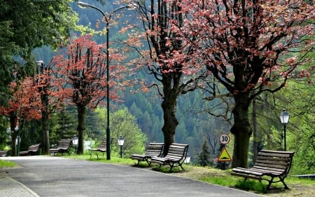 Park in Szczawnica, Pennine, Poland - benches, trees, walkway, park, poland, pennine