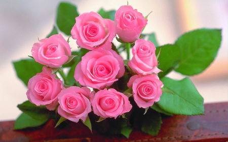 Pink Roses - roses, flowers, bouquet, pink