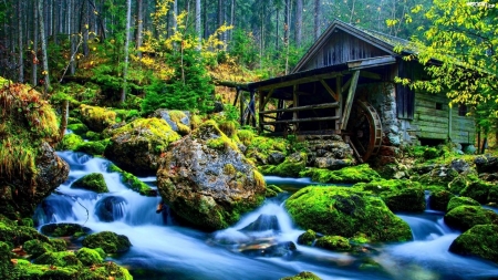 Old water mill, Gollinger Waterfall, Austria - nature, autumn, trees, forest, water, moss, mill, waterfall