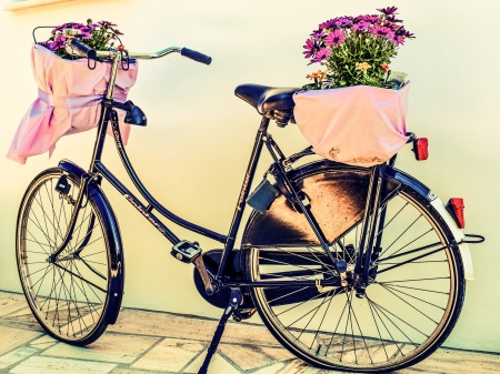 Bike - flowers, ride, bike, photo